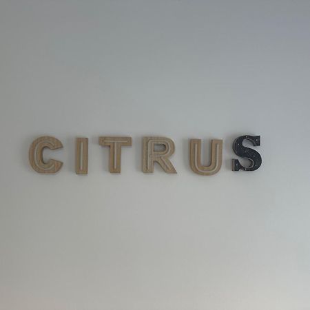 Citrus Suite By Alhaurin Loft City Center Alhaurín de la Torre Zewnętrze zdjęcie
