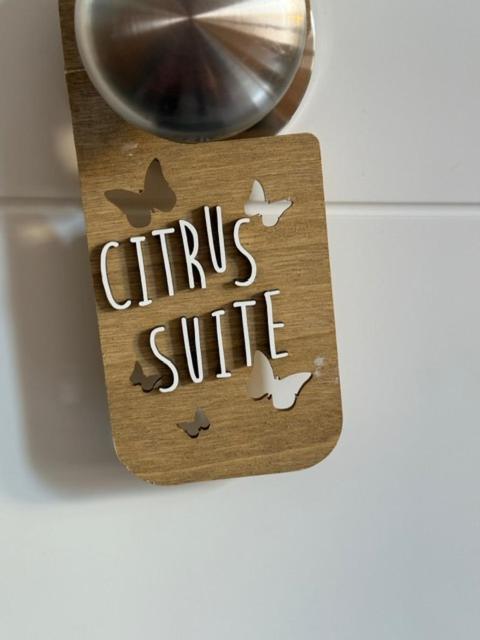 Citrus Suite By Alhaurin Loft City Center Alhaurín de la Torre Zewnętrze zdjęcie